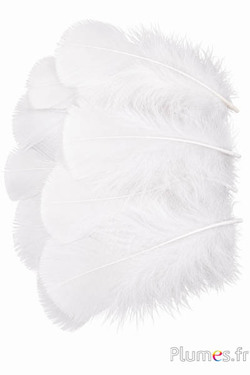 Tacchina - 6-8 cm - bianco